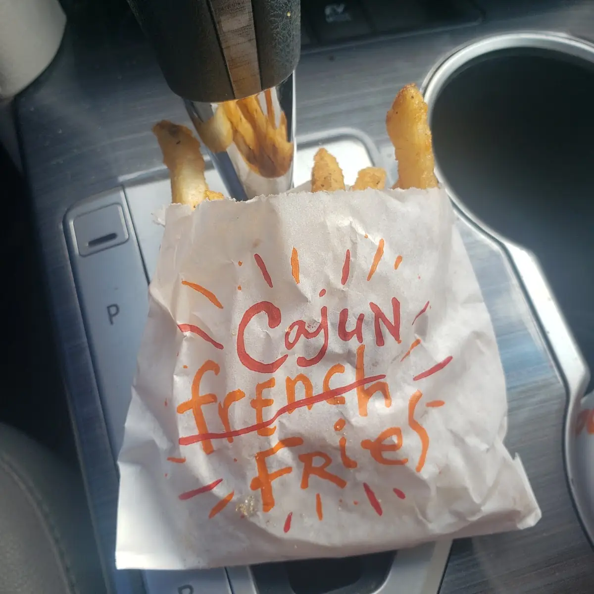 Seasoned Fries