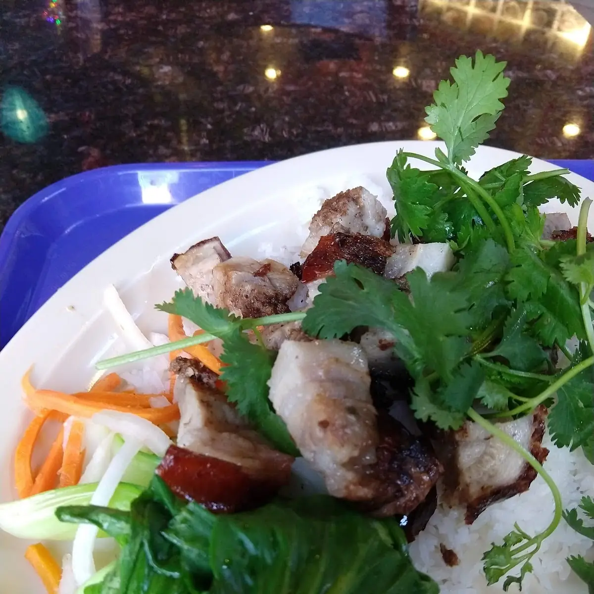 Roasted Pork Rice