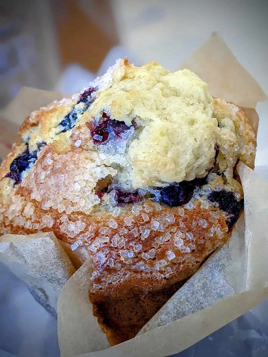 Blueberry Muffin