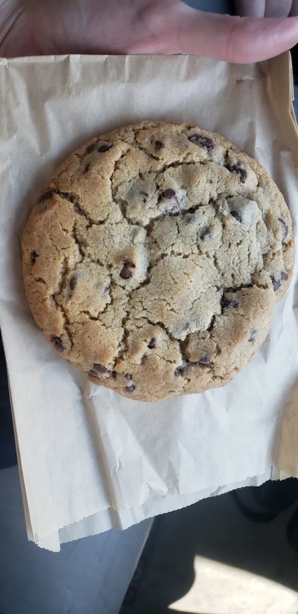 Chocolate Chip Cookie
