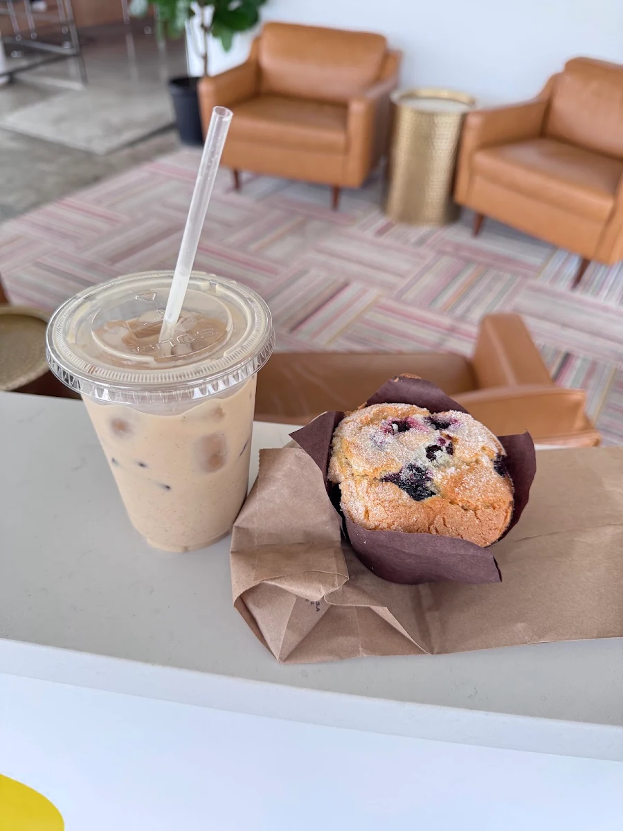 Blueberry Muffin