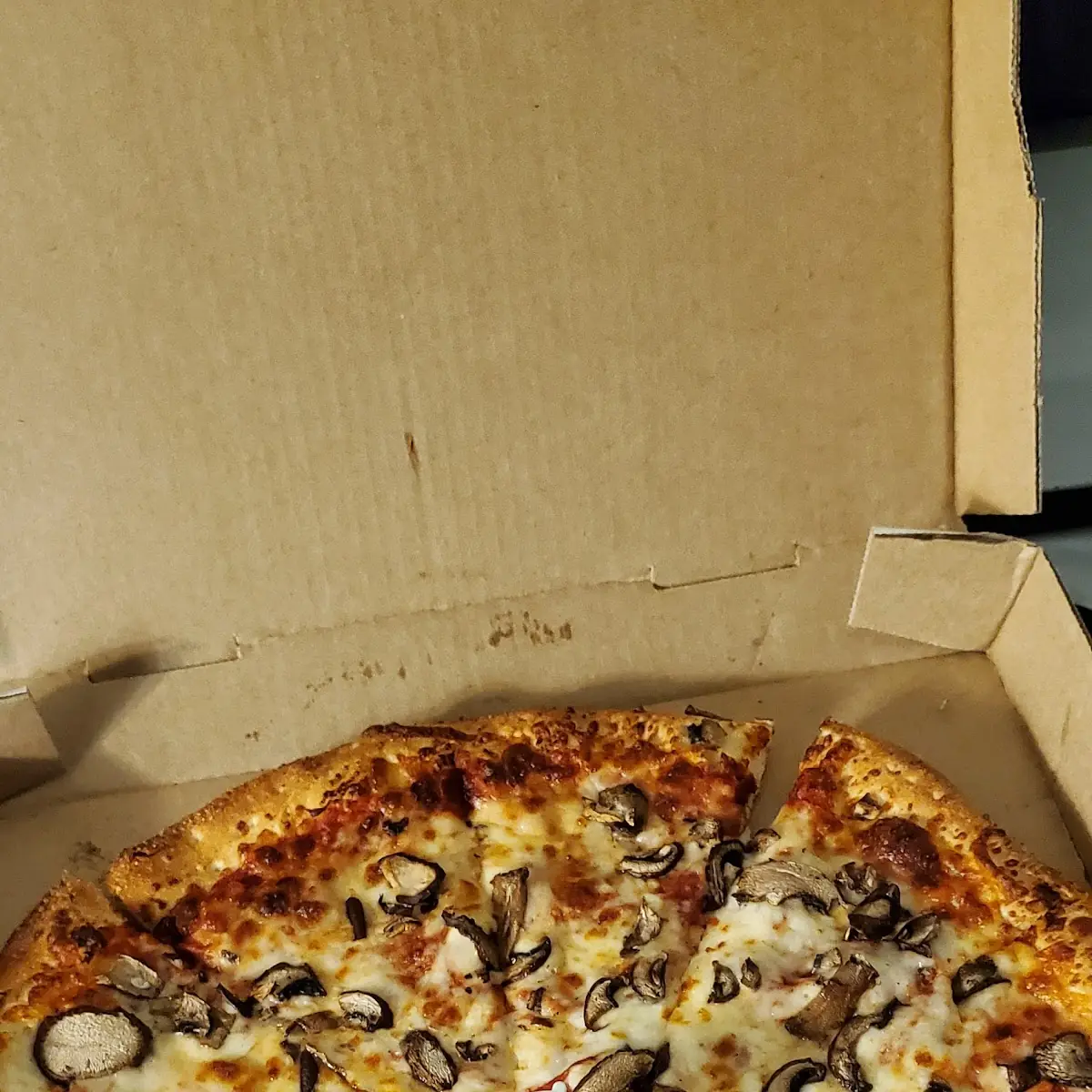 Mushroom Pizza