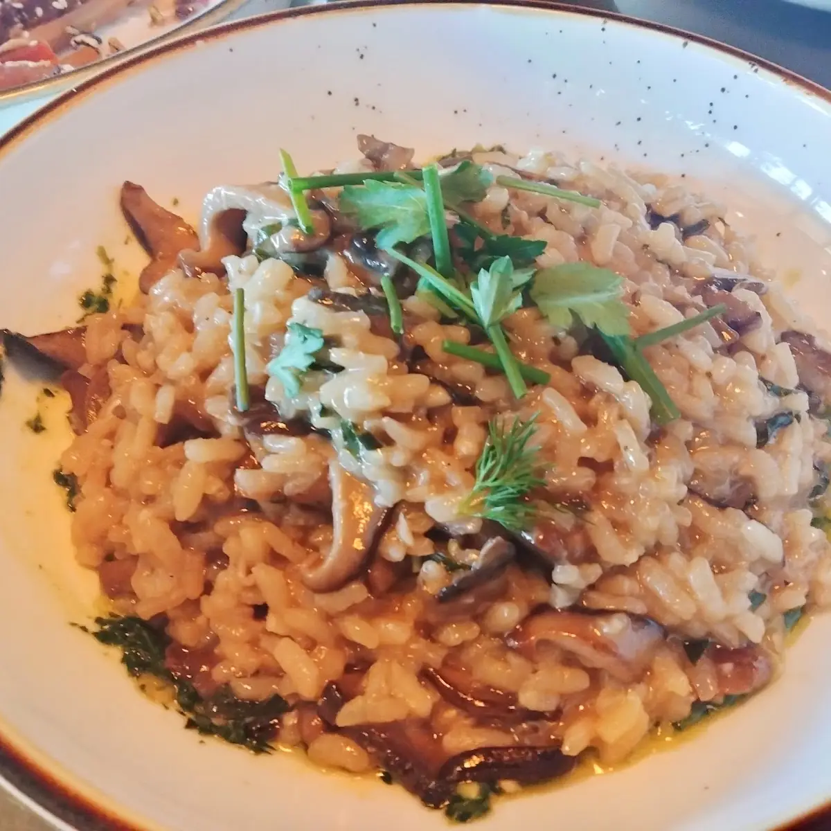 Mushroom Risotto
