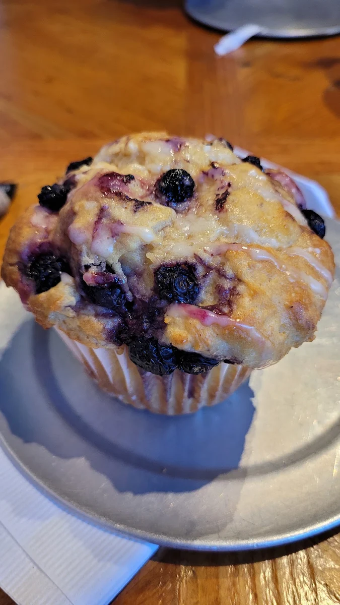 Blueberry Muffin