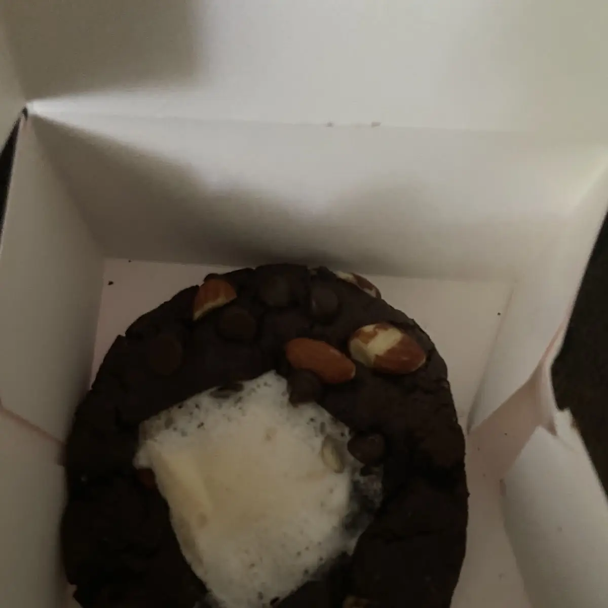 Chocolate Brownie
