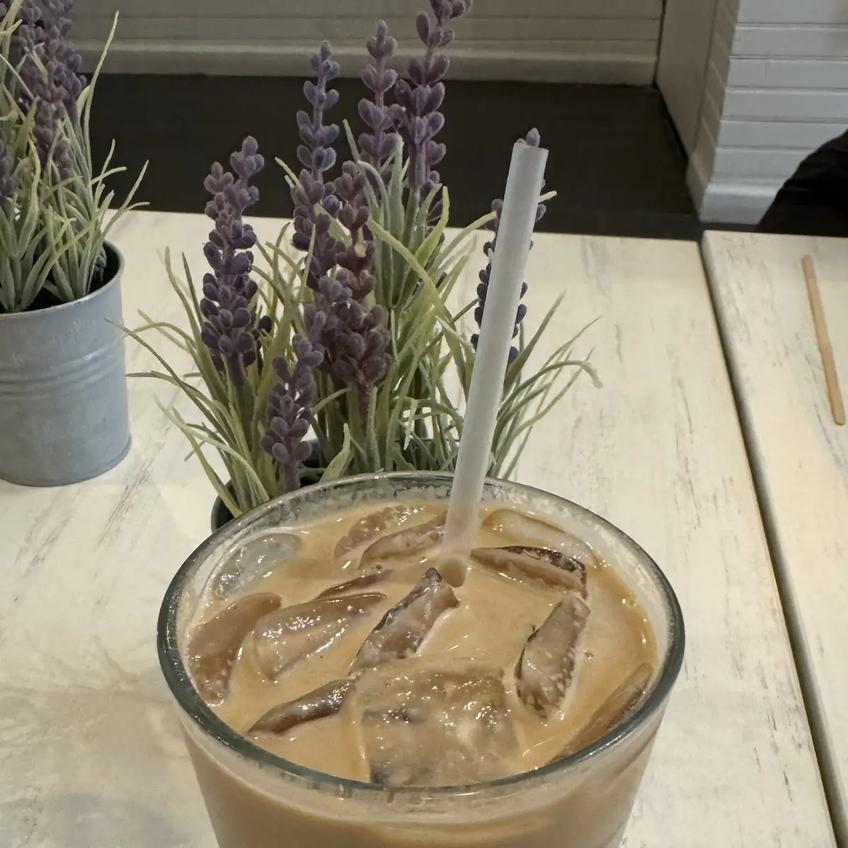 Iced Matcha Latte