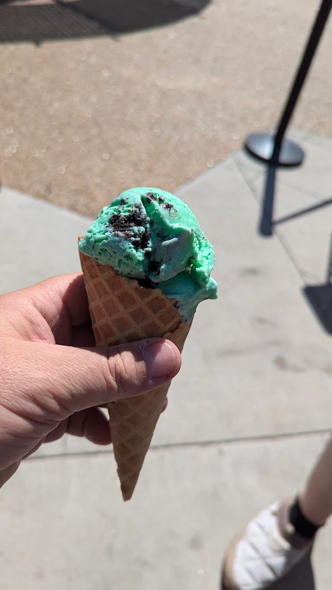 Doublre Scoop Mint Oreo