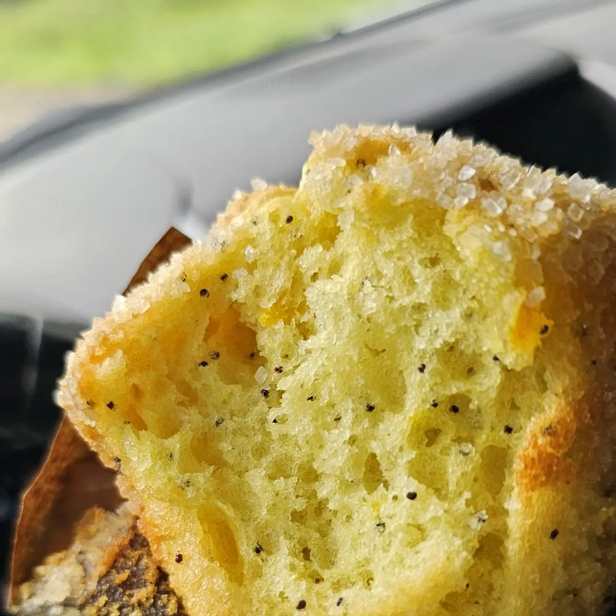 Lemon Poppy Seed Muffin