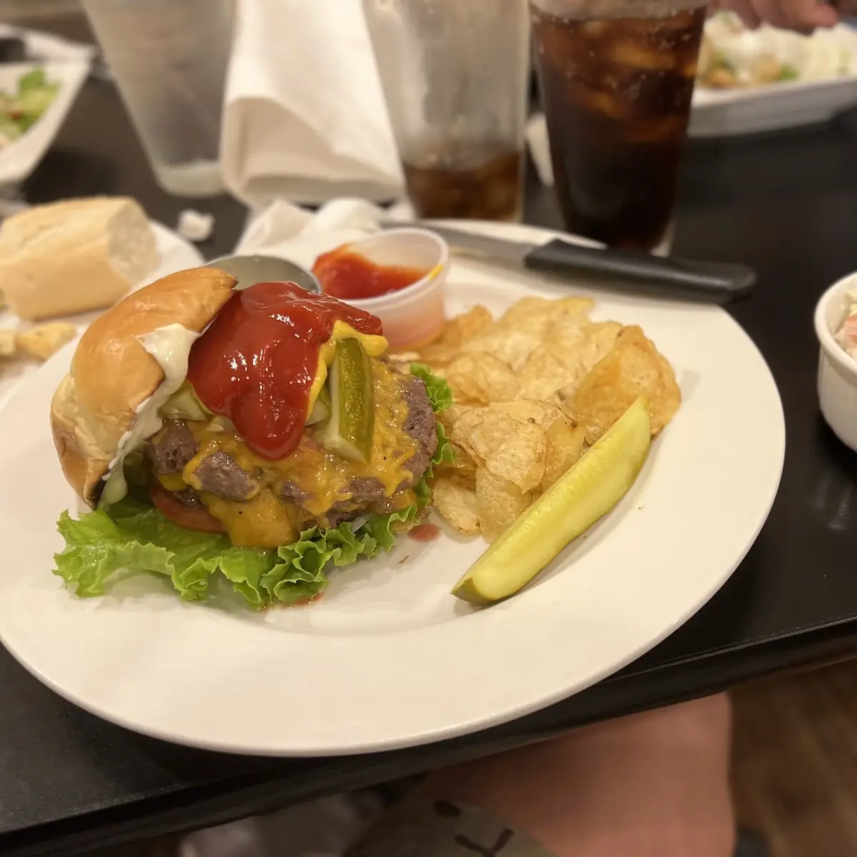 Elk Burger and Chips
