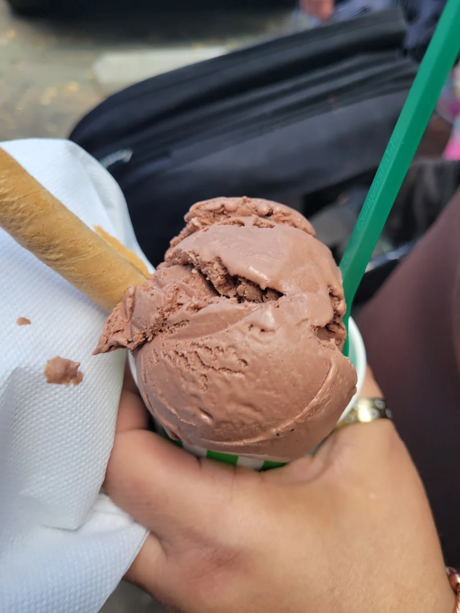 Chocolate Ice Cream