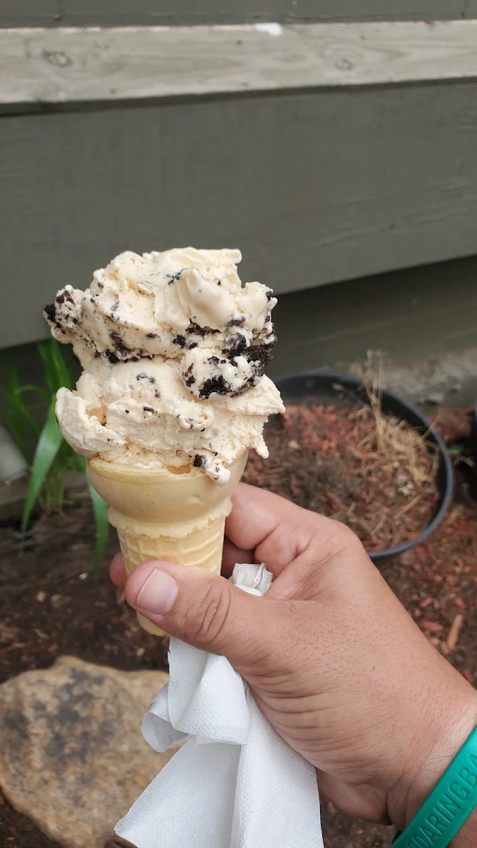 Salted Caramel Oreo
