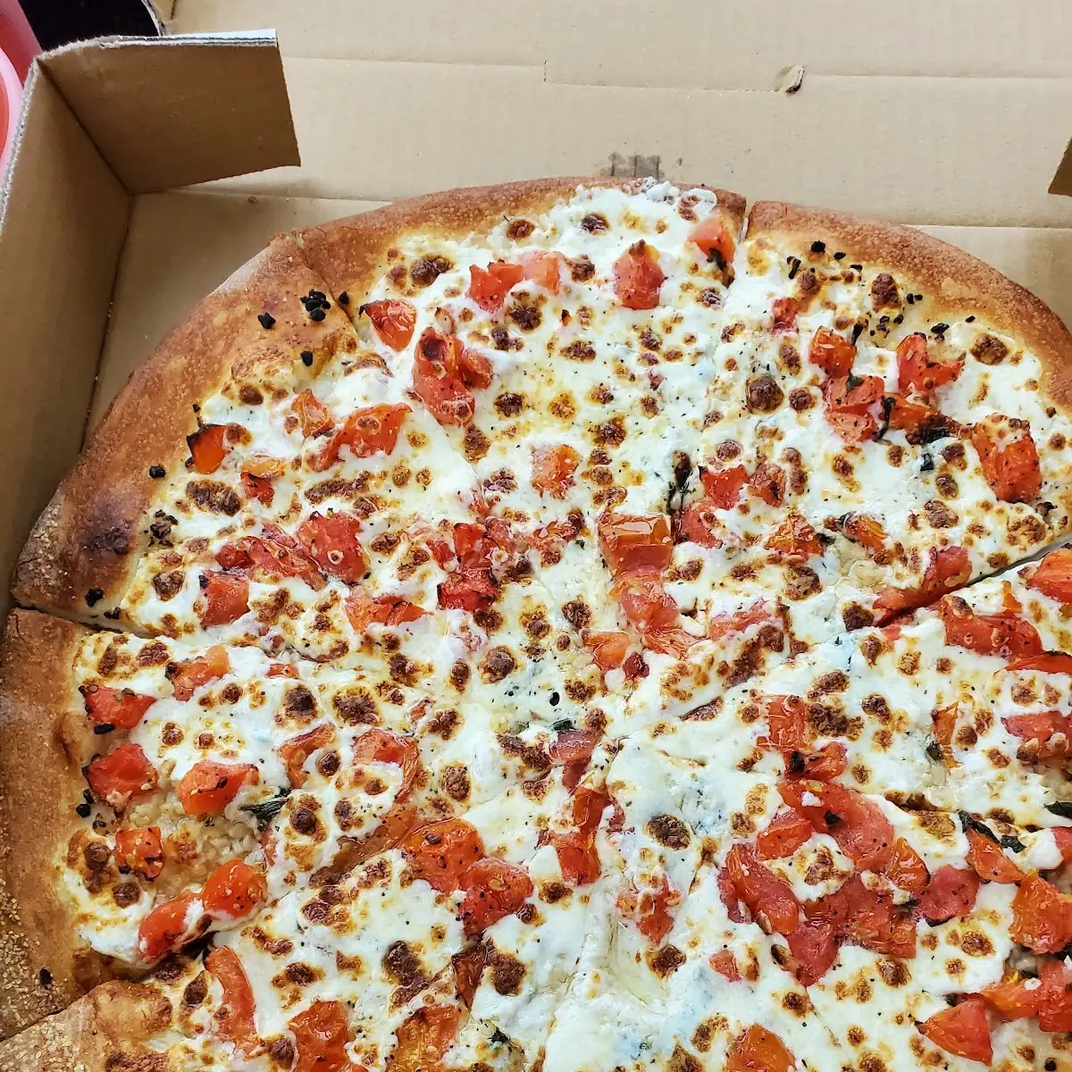 Margherita Pizza