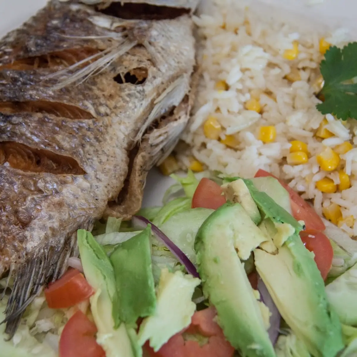 Mojarra Frita