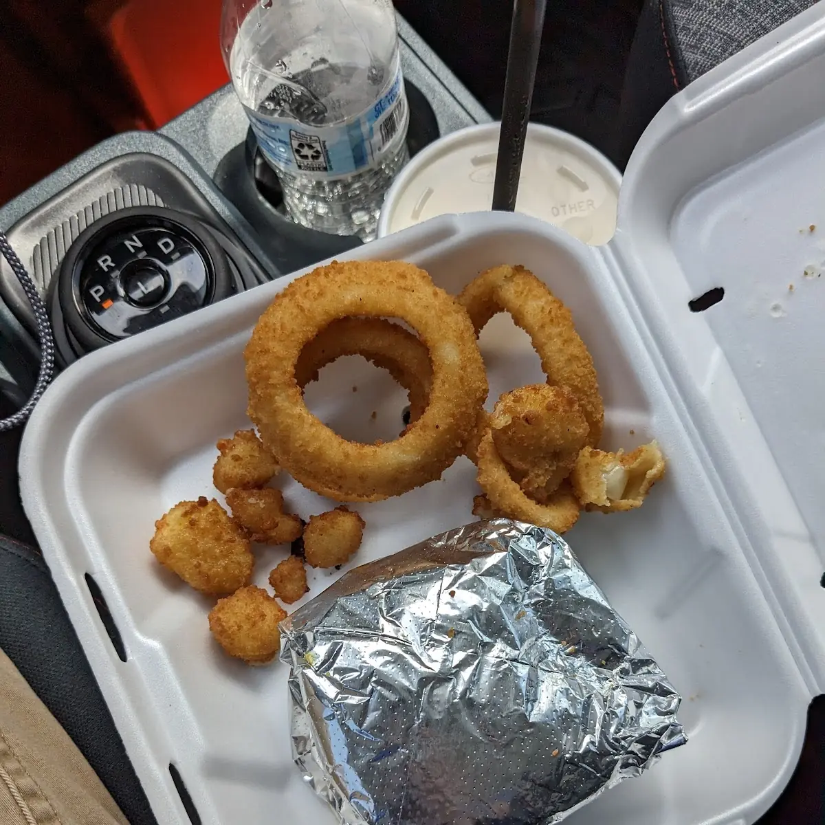 Onion Rings