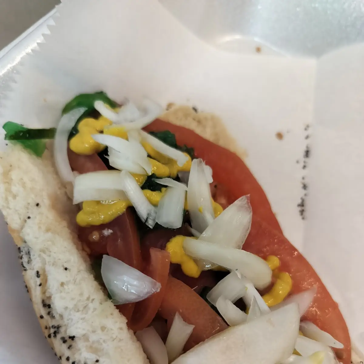 Chicago Style Beef Hot Dog w Fries