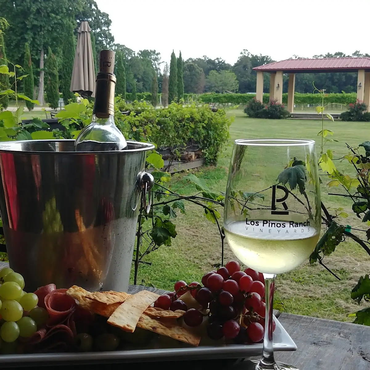 Fruit & Cheese Plate