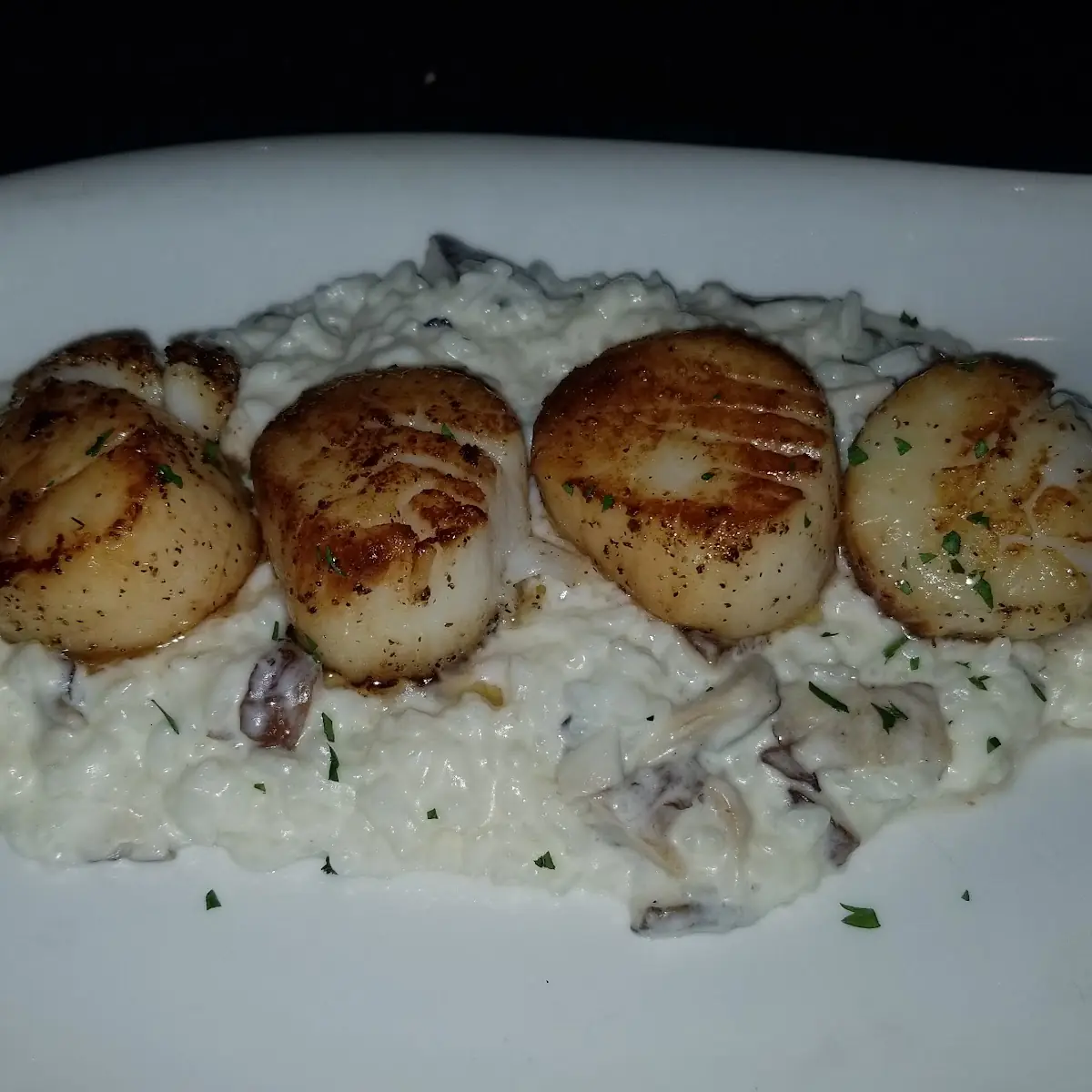 Sea Scallops