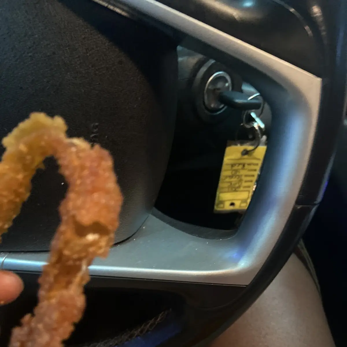 Hand Made Onion Rings