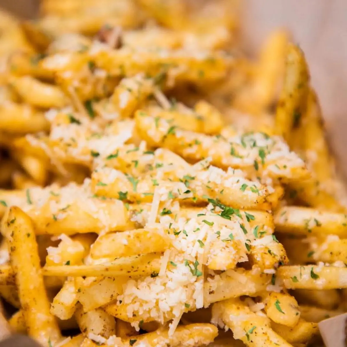 Garlic Parmesan Fries