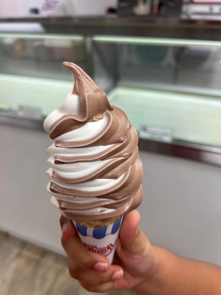 Chocolate Vanilla Ice Cream