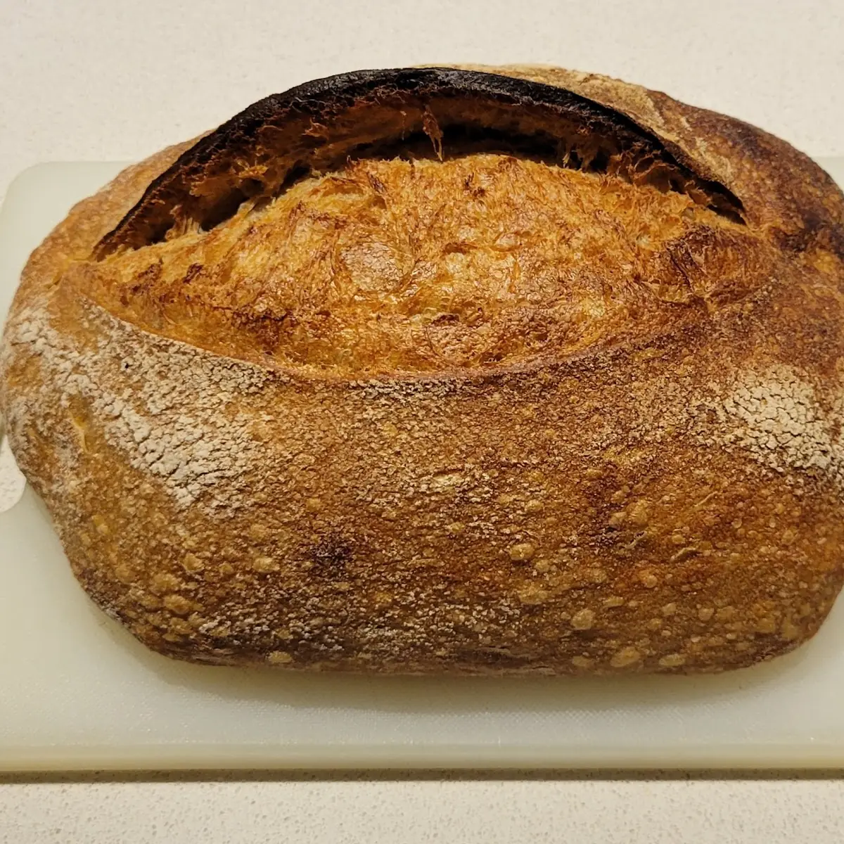 Sourdough Bread Loaf