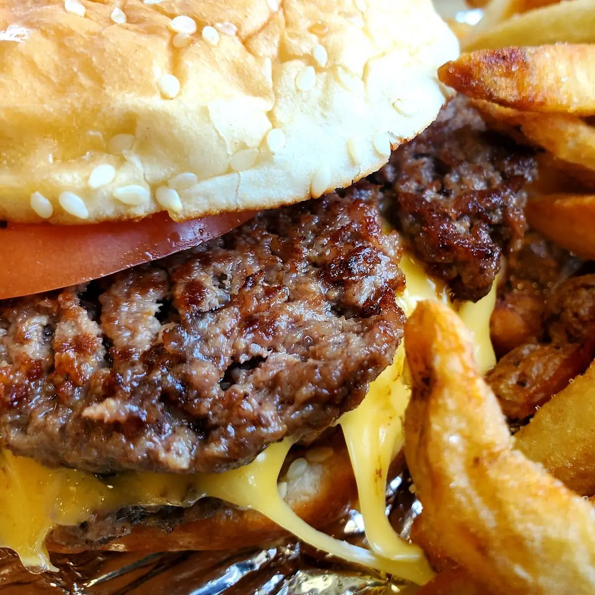 Cheese Burger and Fries