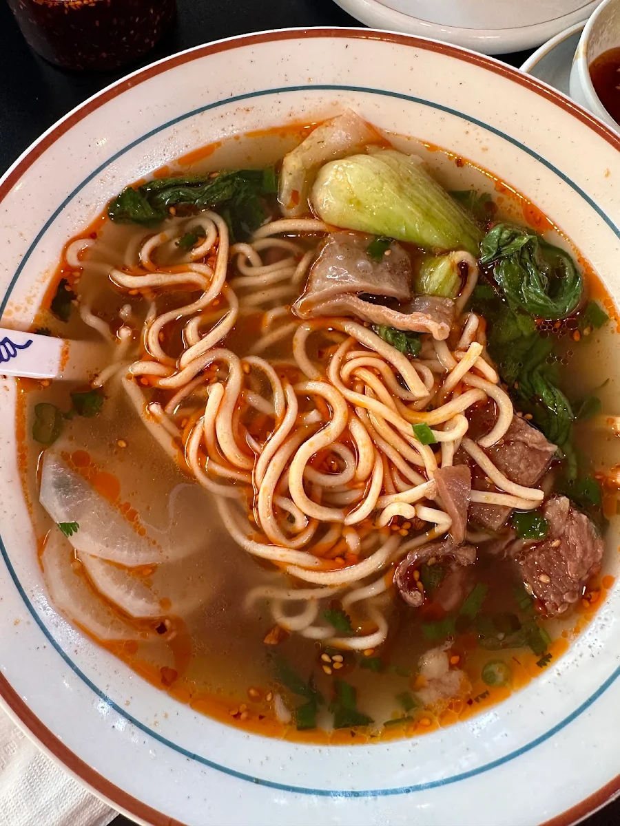 Hand Pulled Noodles