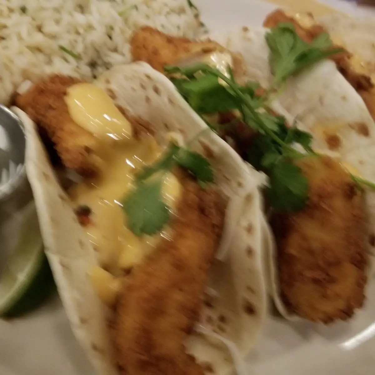 Shrimp Tacos