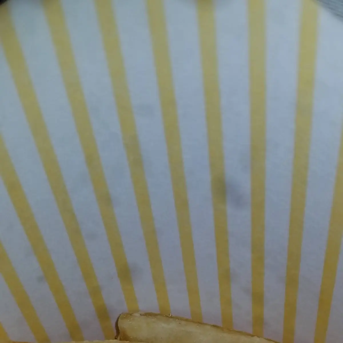 World Famous Fries