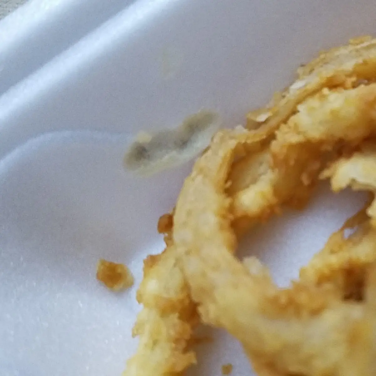 Homemade Onion Rings