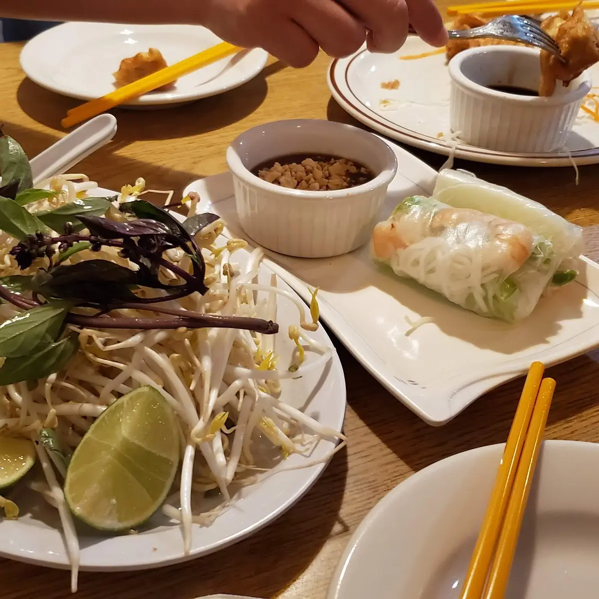 Fresh Spring Rolls