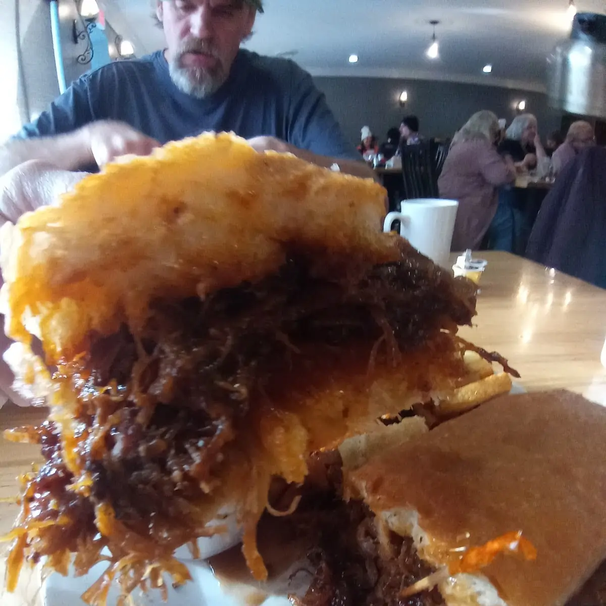 Pulled Pork on a Sub Bun