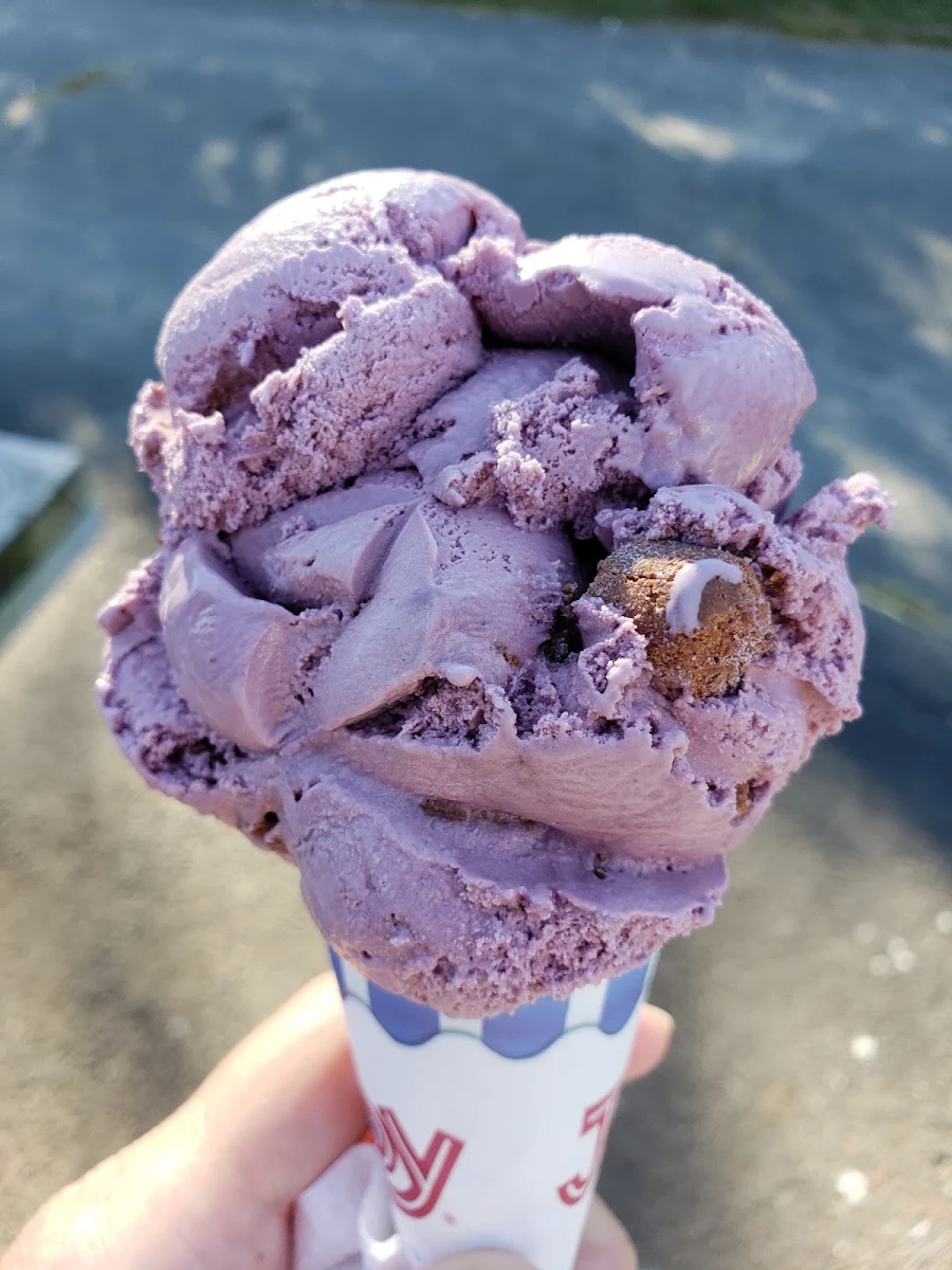 Blackberry Goat Cheese