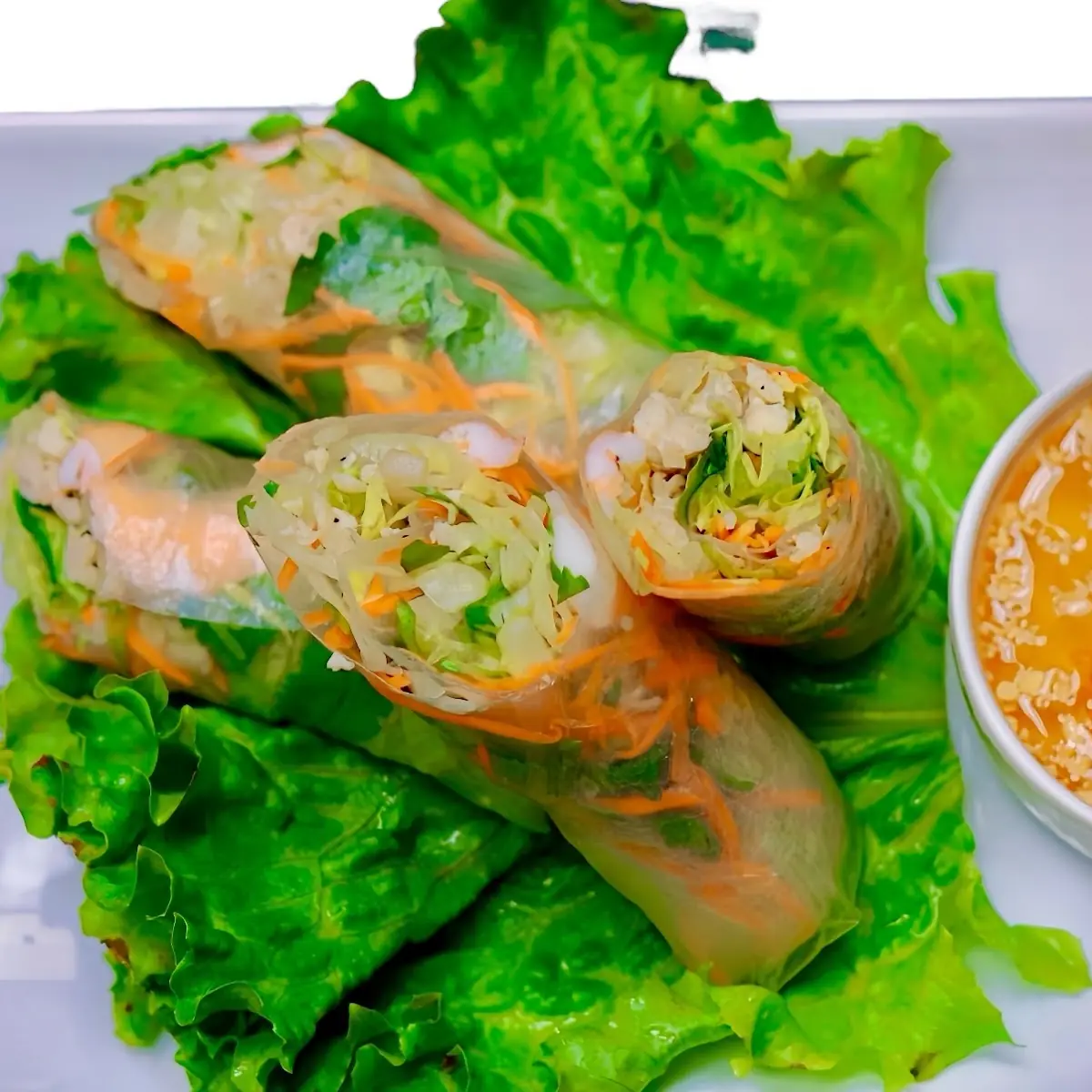 Fresh Spring Rolls
