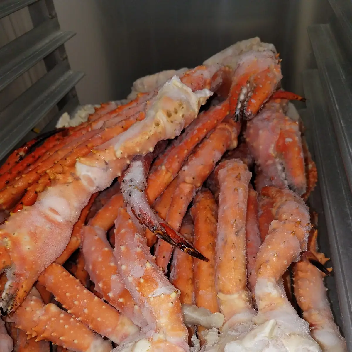King Crab