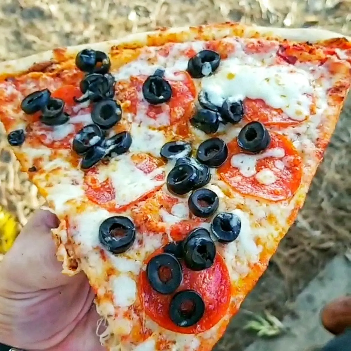 Pepperoni and Olive Pizza