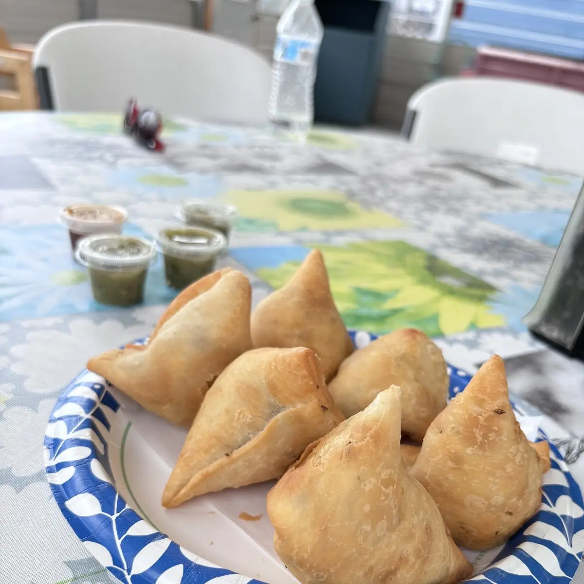 Veg Samosa