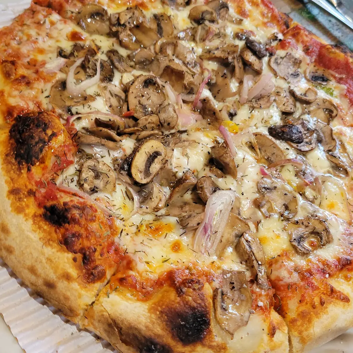 Mushroom Pizza