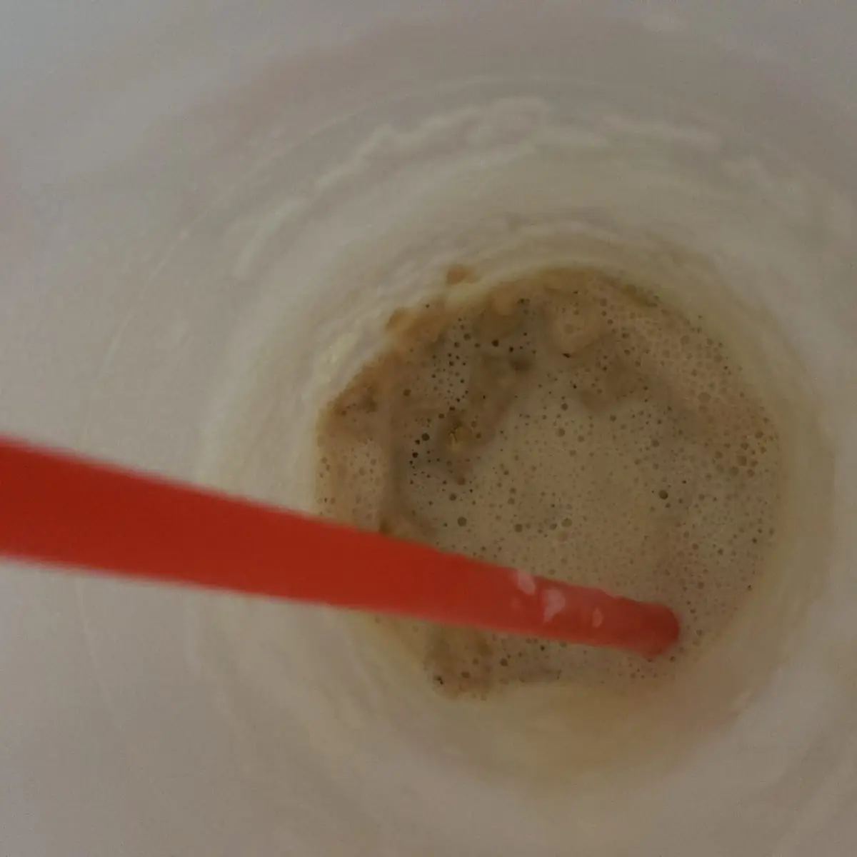 Vanilla Malt with Super Extra Malt