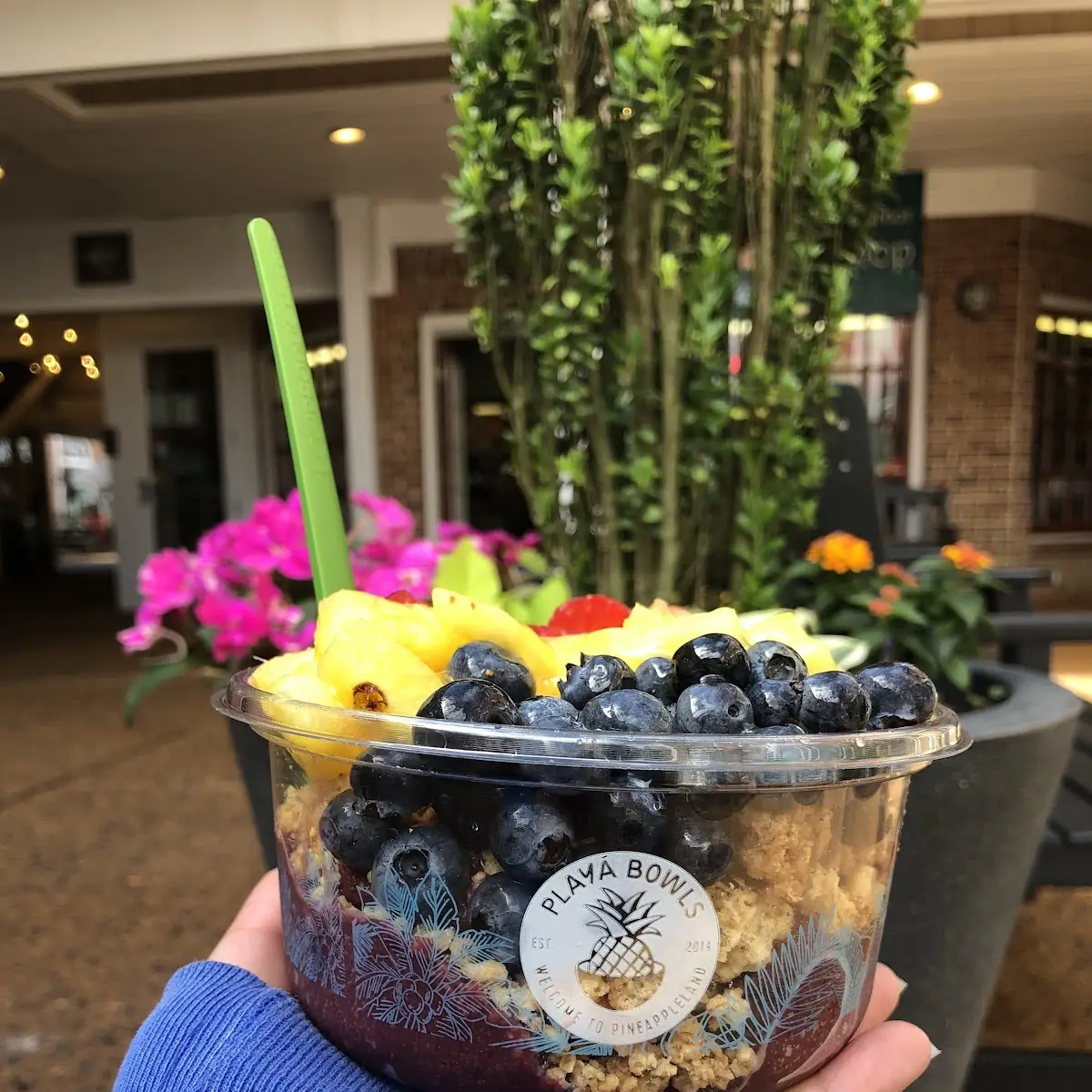 Açaí Bowl