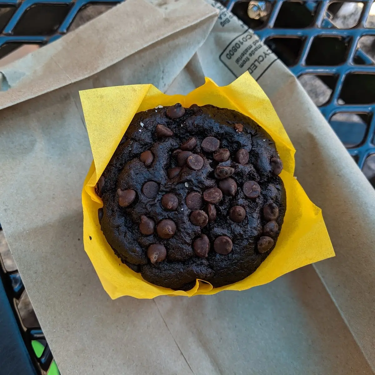 Chocolate Chip Muffin