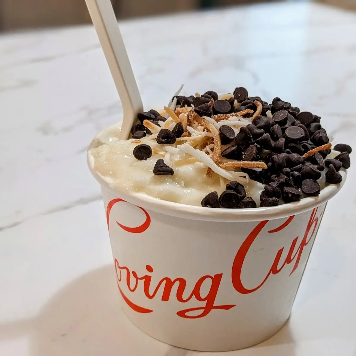 Frozen Yogurt