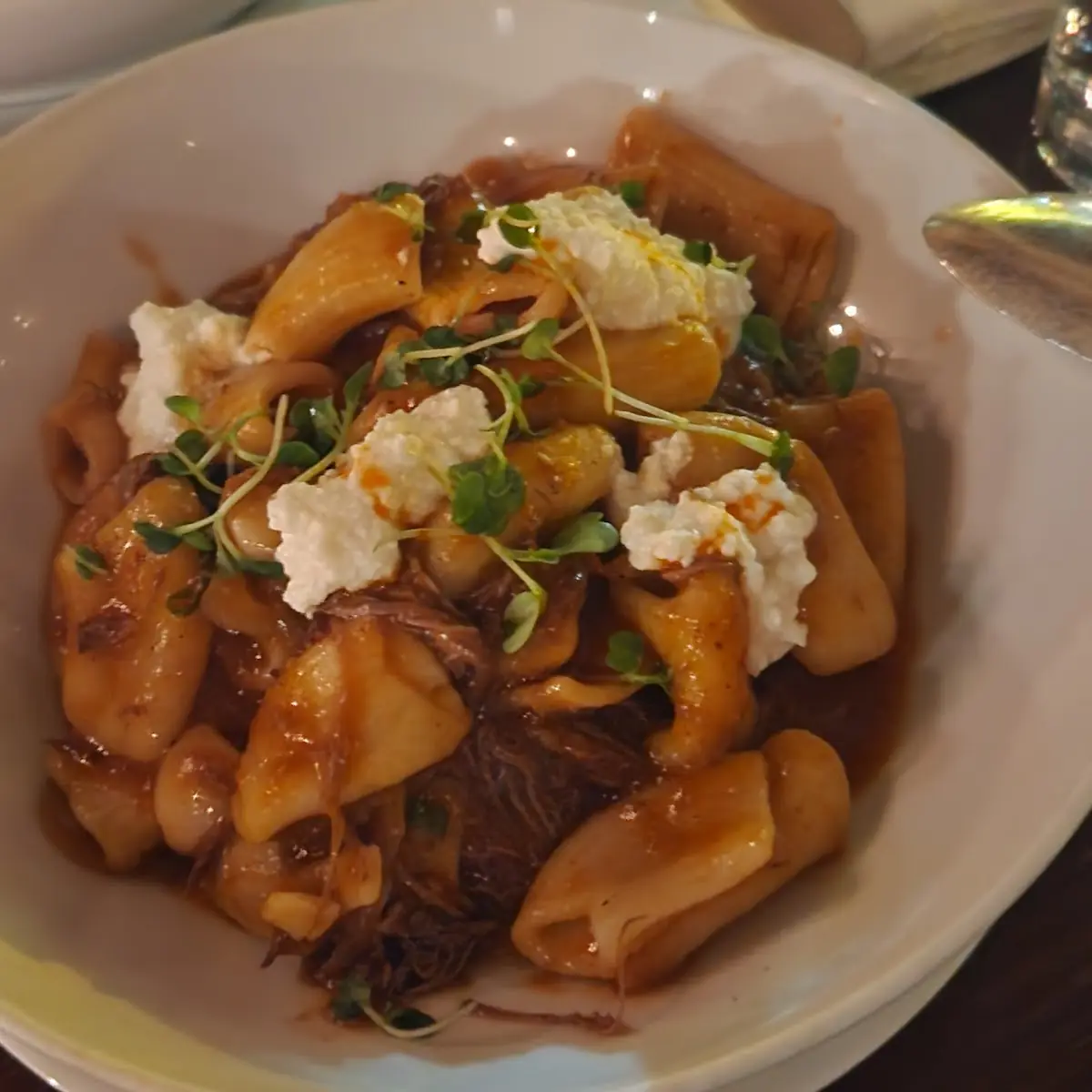 Short Rib Rigatoni