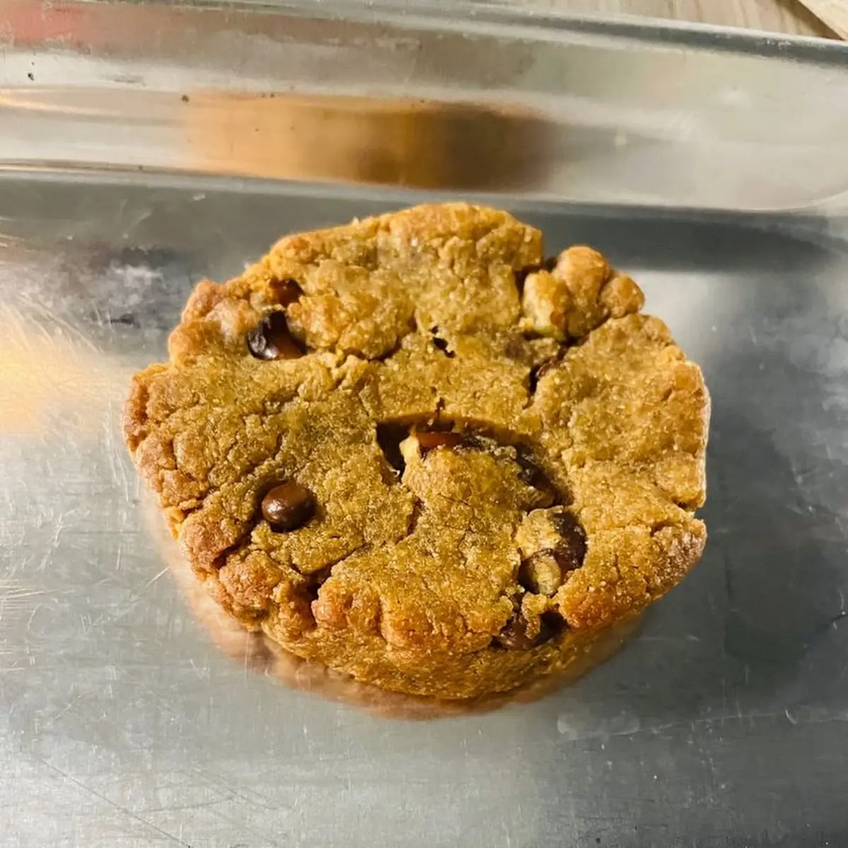 Chocolate Chip Cookie