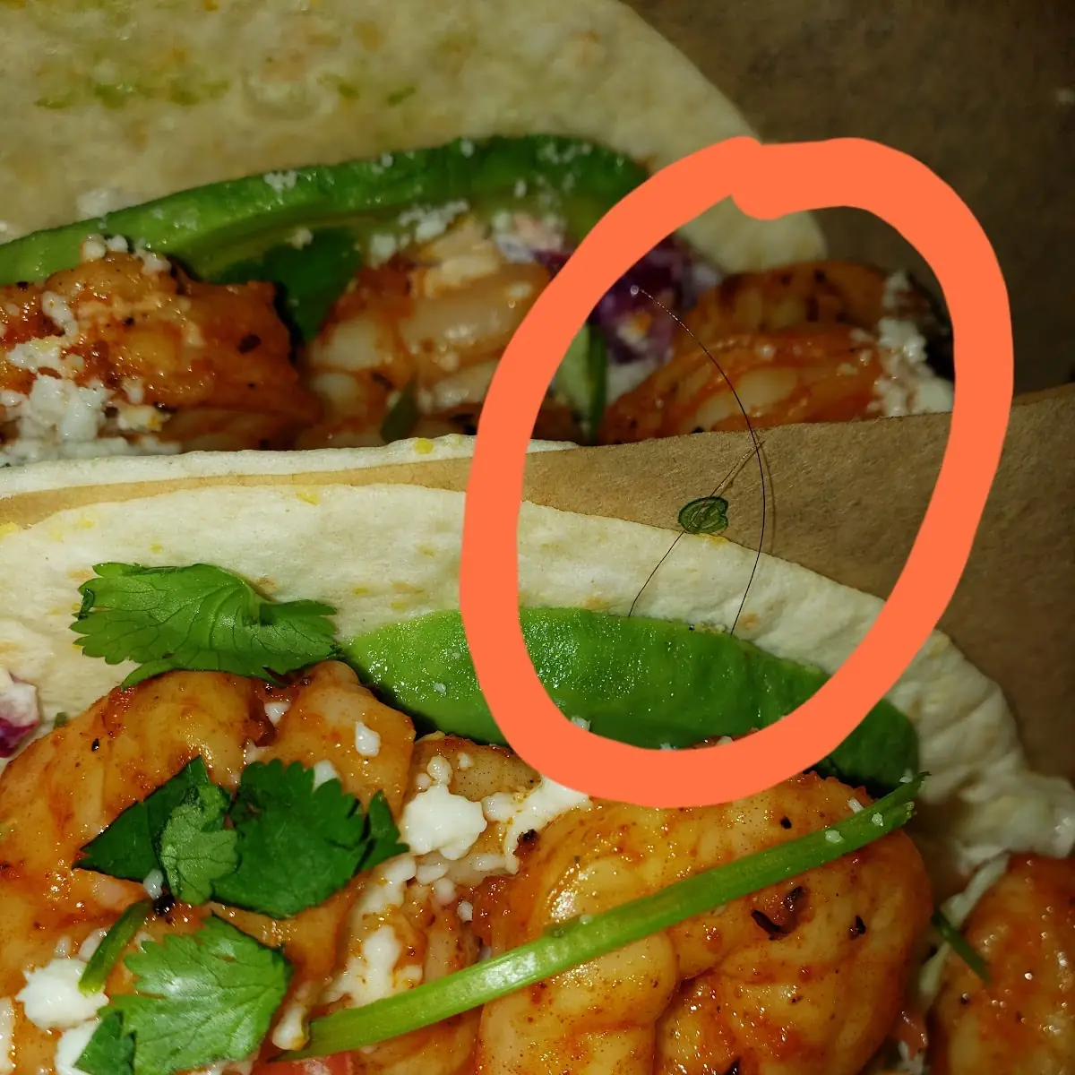 Shrimp Tacos