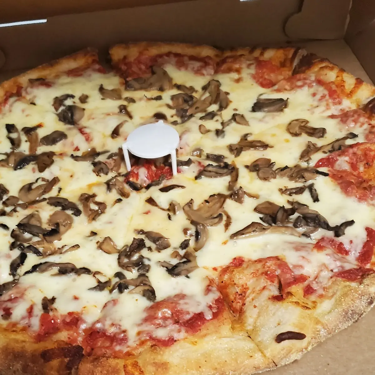 Cheese and Mushroom Pizza