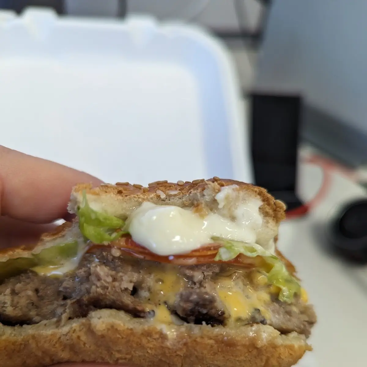 Xtra Burger Patty