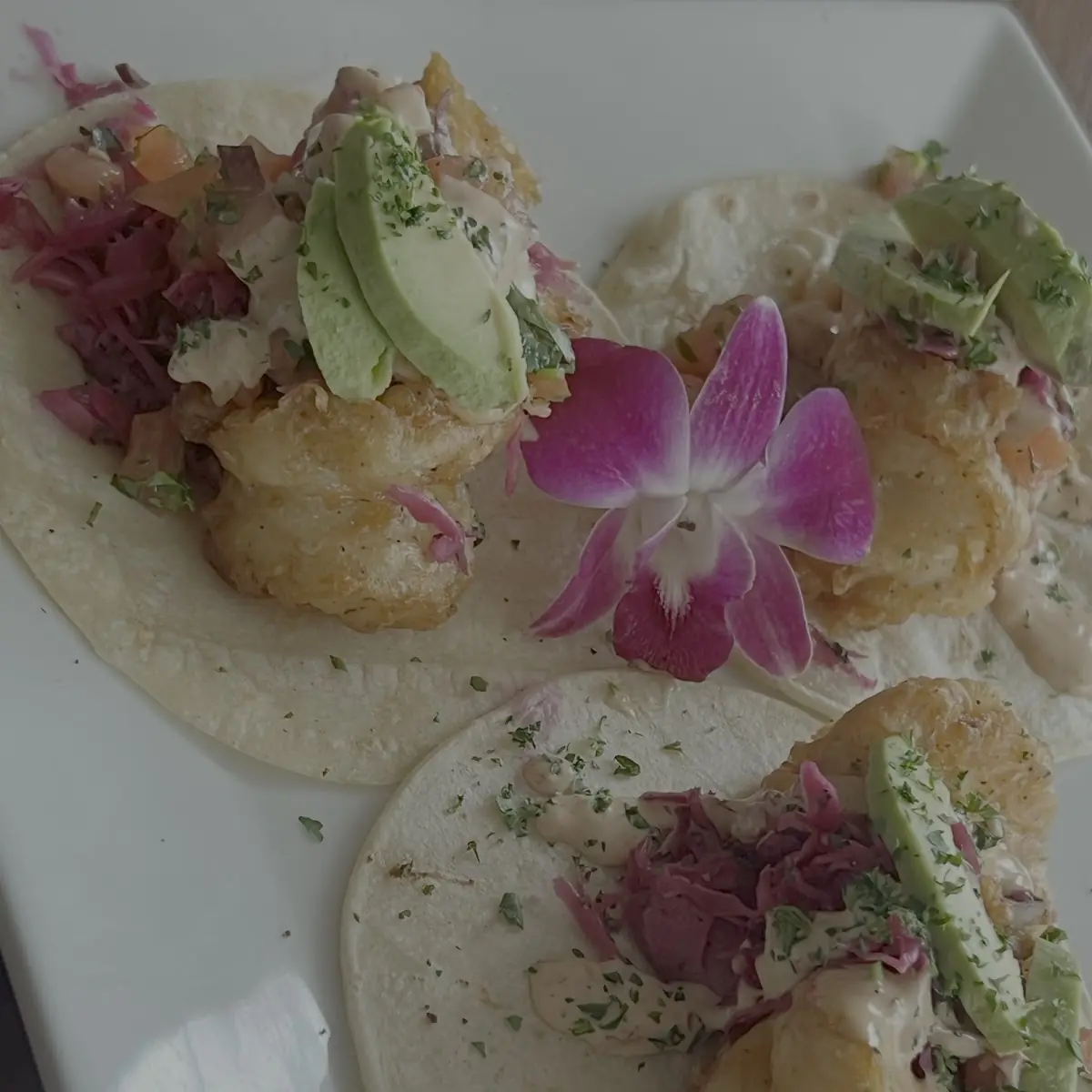 Shrimp Tacos