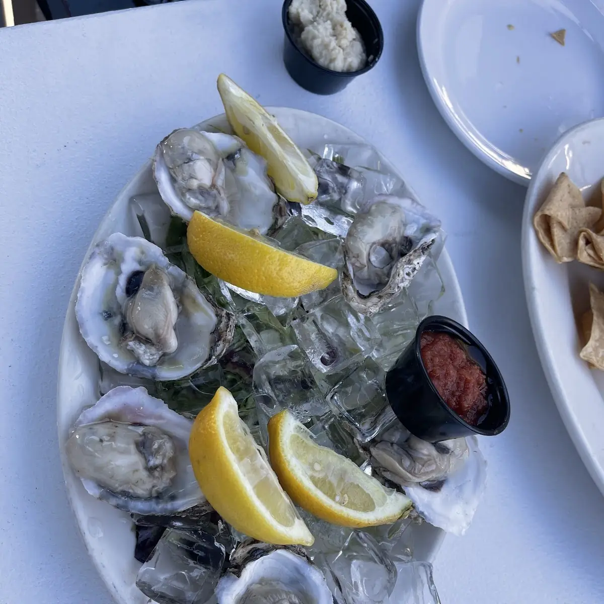Dozen Oysters