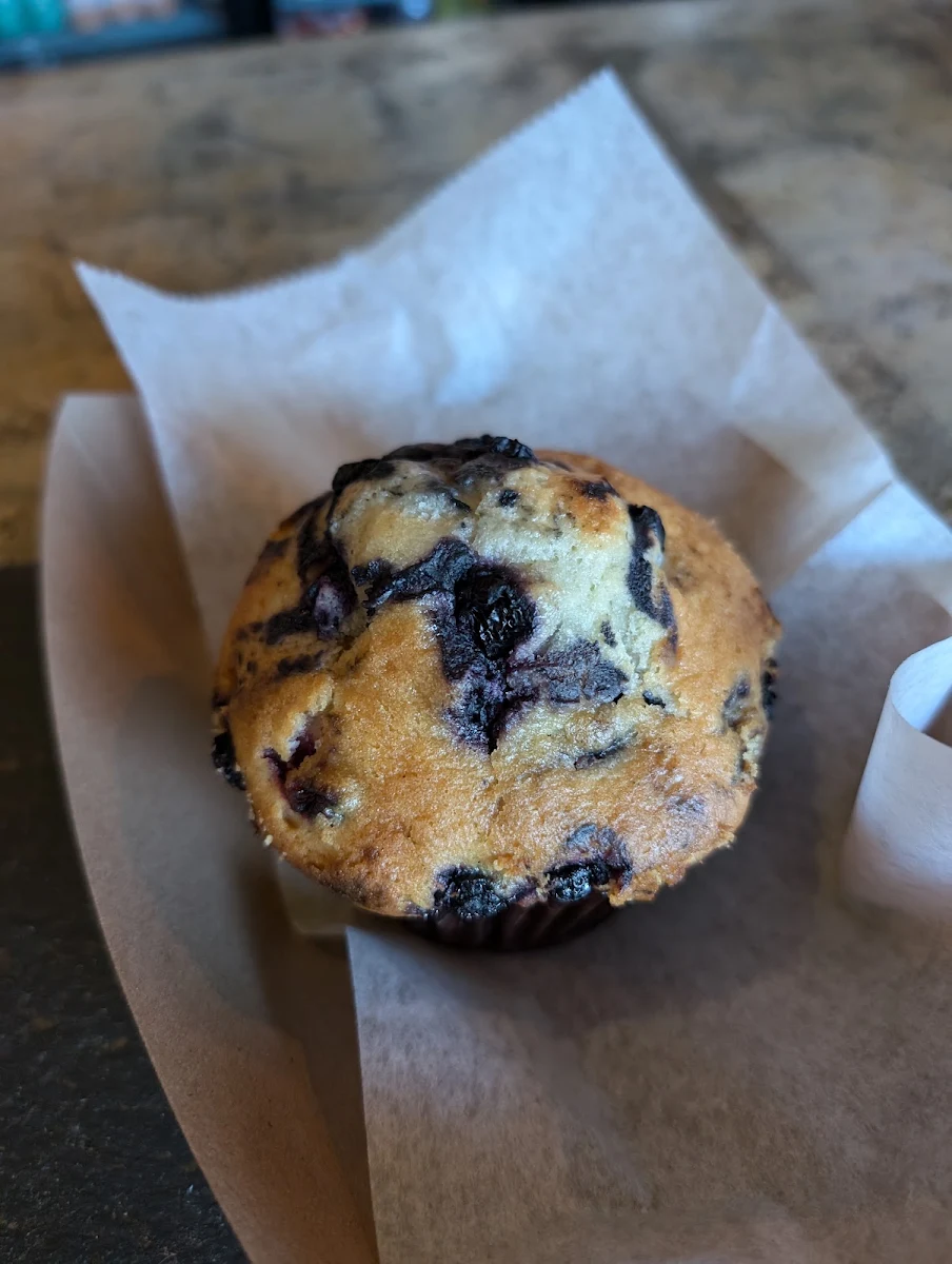 Blueberry Muffin